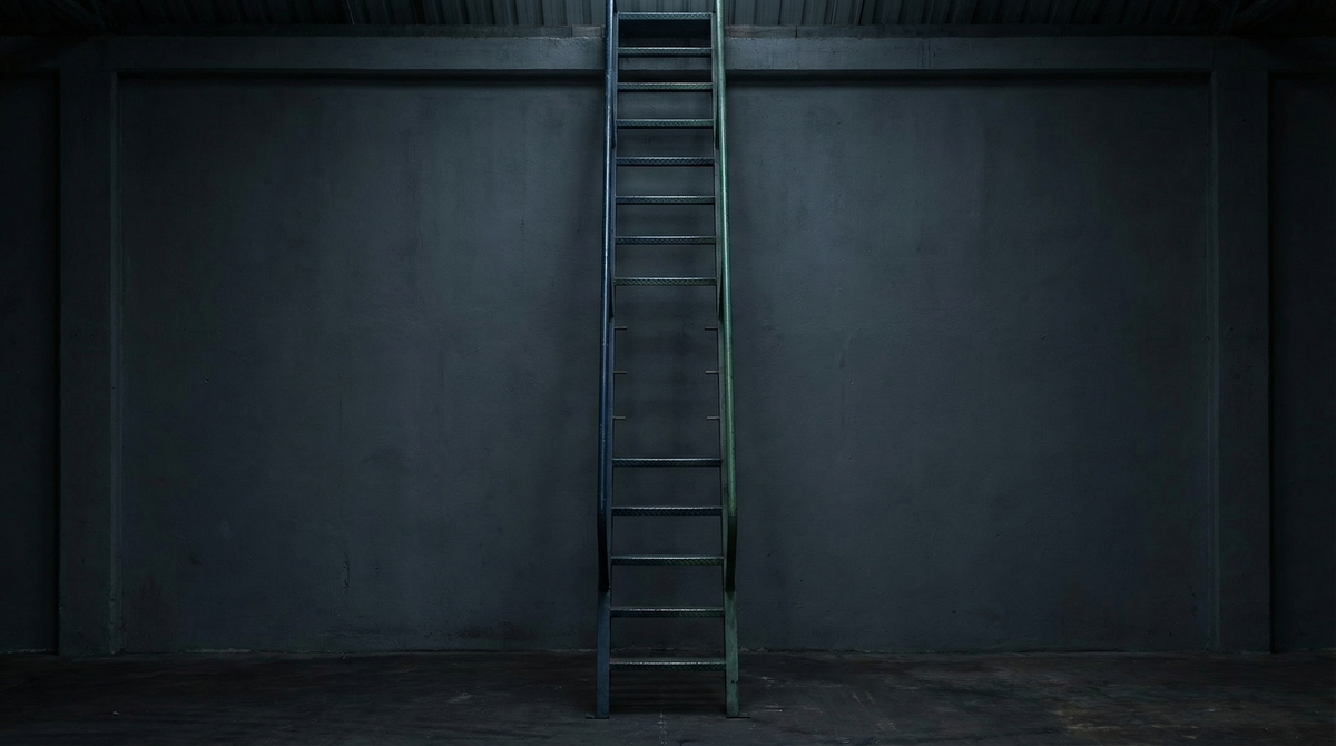 A ladder with its middle rungs missing — the visual argument for mobility infrastructure that still appears intact from a distance but has no path through.