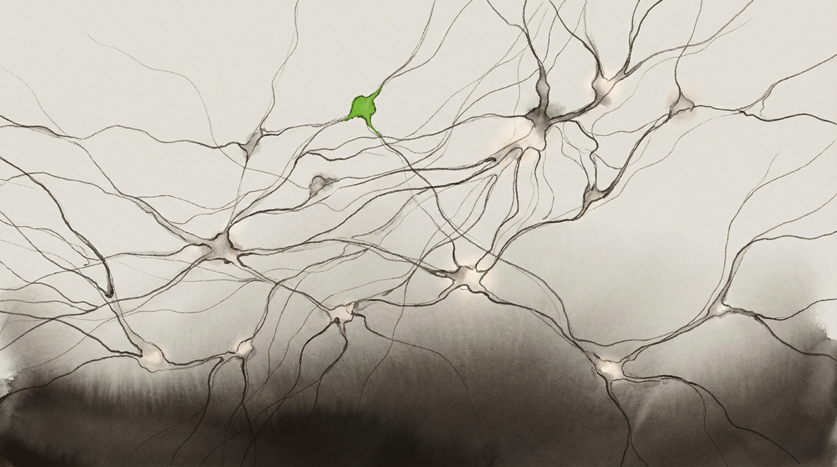 An inhabited ecology seen from inside — field note register, survey-marker green, one node in a system being mapped from above by people who have not been inside it.