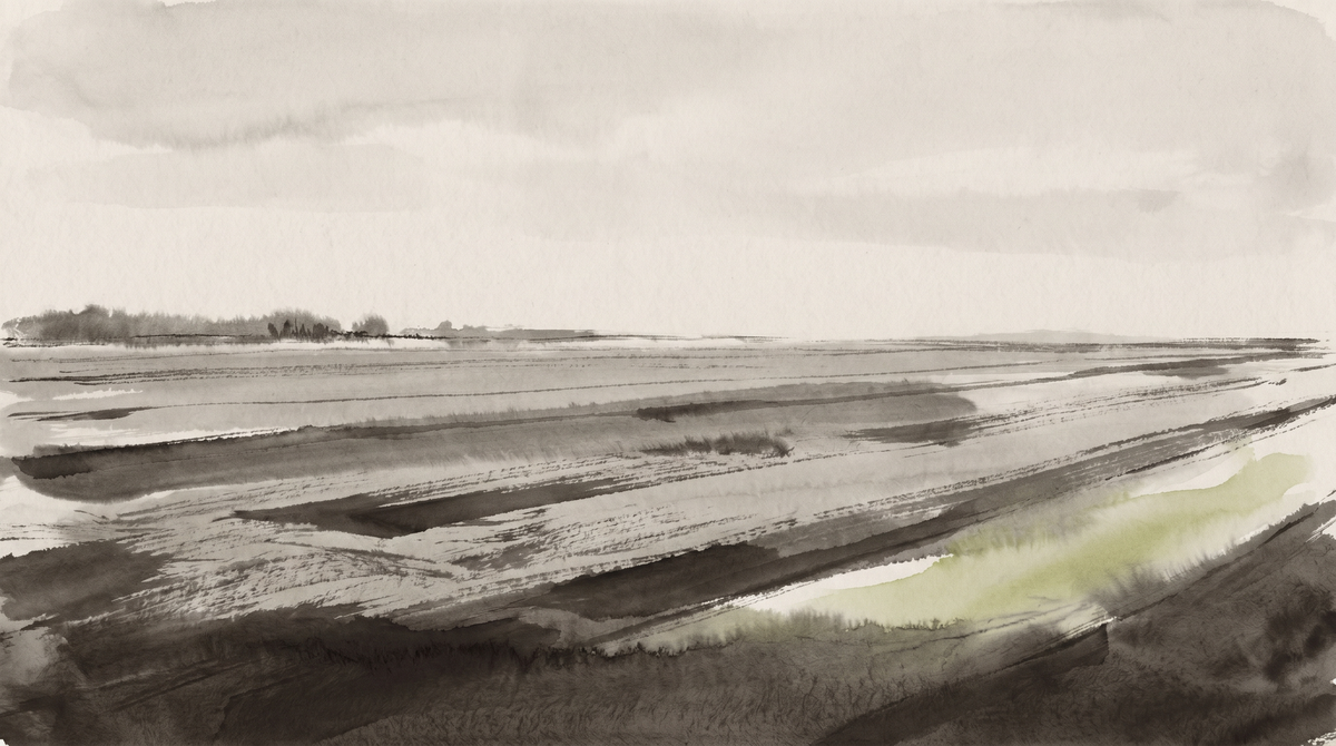 Mississippi Delta farmland at spring planting — sparse rows, pale sky, diesel cans in place of the full tank that isn't coming.