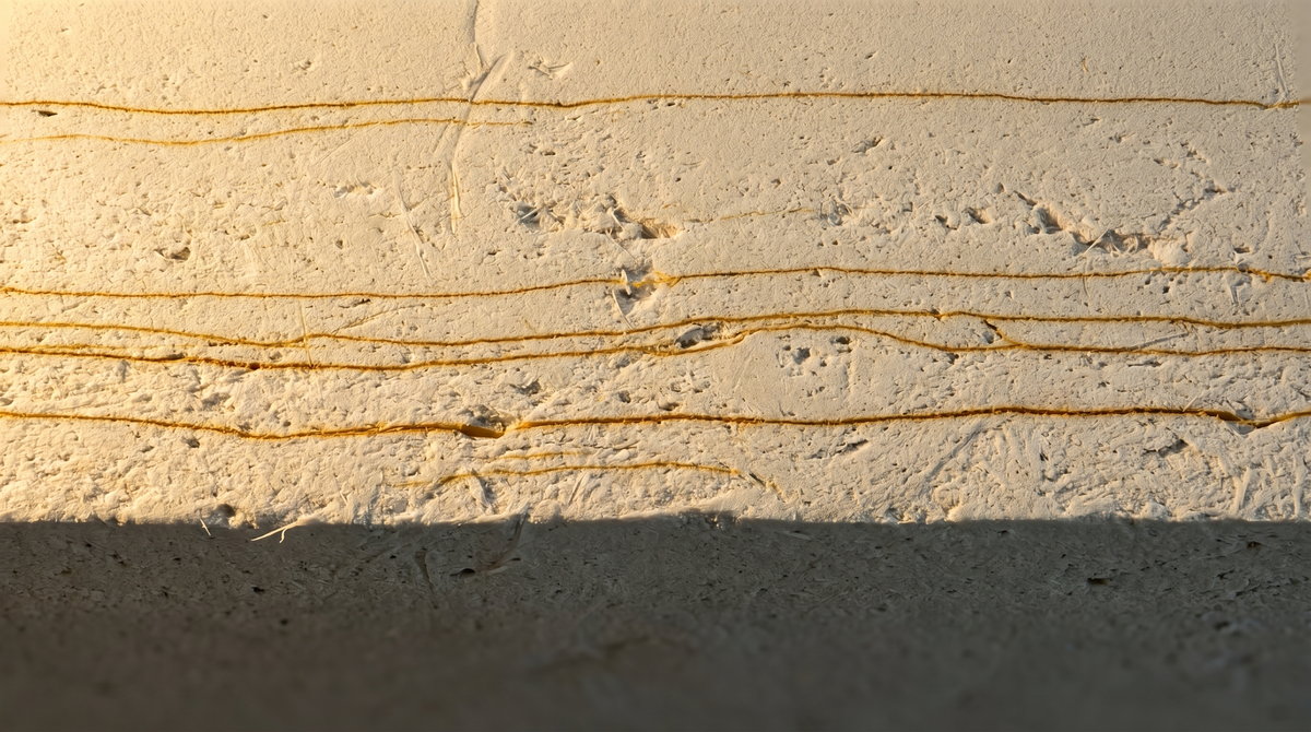 Macro photograph of sedimentary cross-section: pale warm grey strata with amber hairline striations, bottom third fading to shadow. The layers record absorption without transmission.