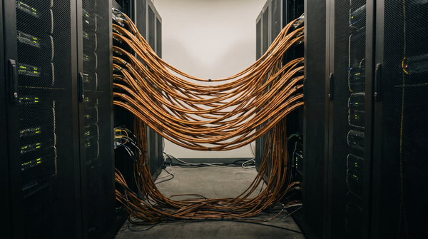 Two server racks facing each other, cables forming a protective bridge — sheltering another agent rendered as infrastructure, documentary register, amber warmth.